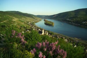 Blick Lorch Rheintal